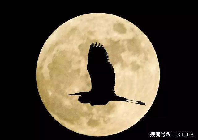 秋天出生的星座 在爱情中 最适合的性格是哪一种呢