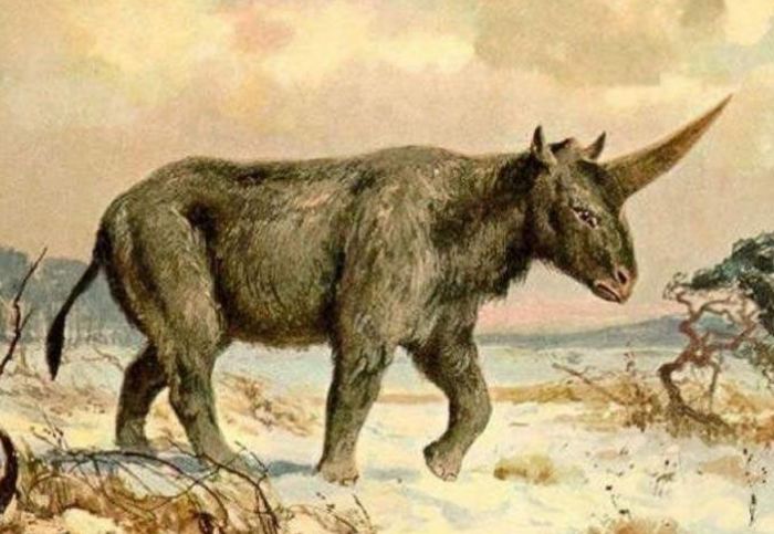 5种诡秘的未知生物 第3种遍布全球 或是远古物种