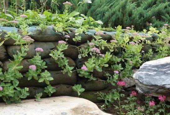 废弃的麻袋也能养花种草栽果蔬 摸清2点 植物不患病虫害