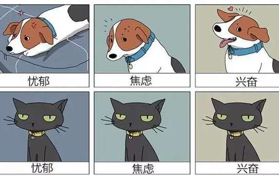 萌宠漫画 猫猫和狗狗有区别 字字戳中内心 谁才是真正的主人