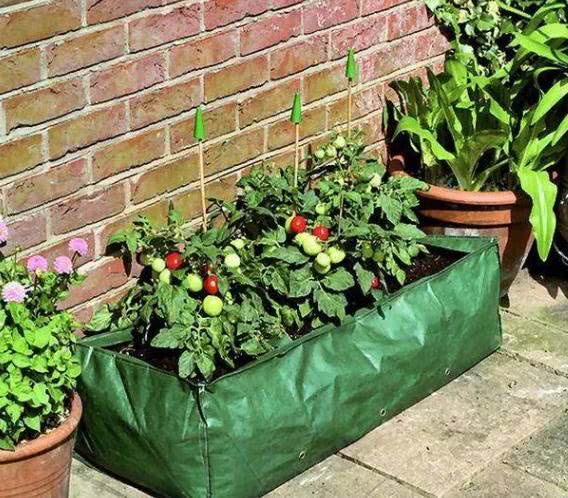 废弃的麻袋也能养花种草栽果蔬 摸清2点 植物不患病虫害