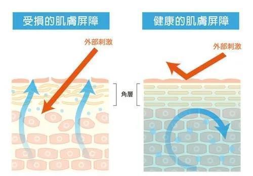 你的脸比城墙还厚也别太得意