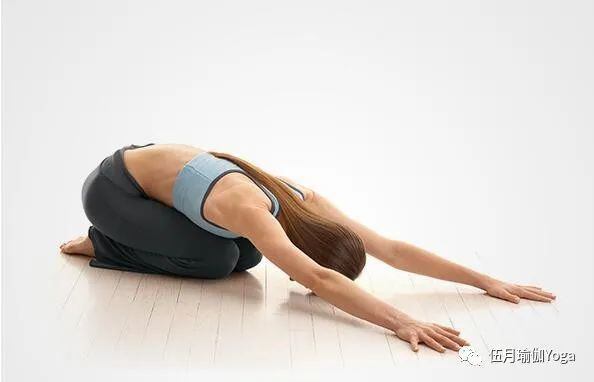 巧用瑜伽道具 这组体式疏通经络 改善循环 让你全身舒展