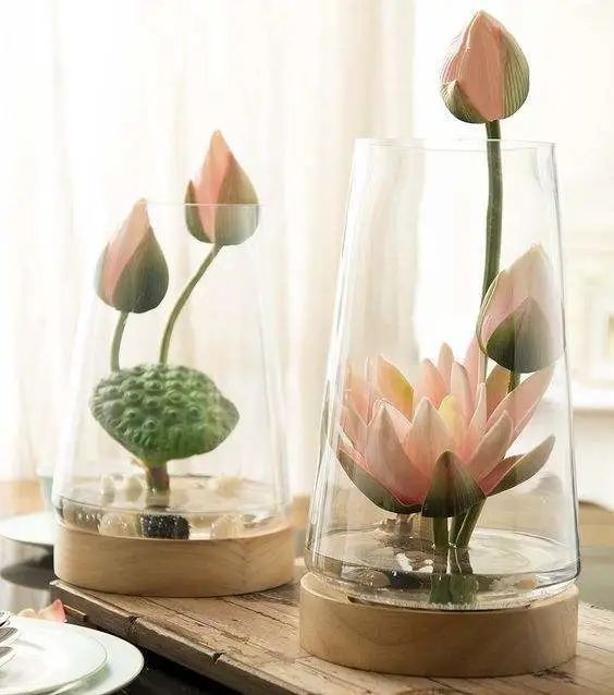 如何让花儿陪伴的更长久 花材养护之 水位